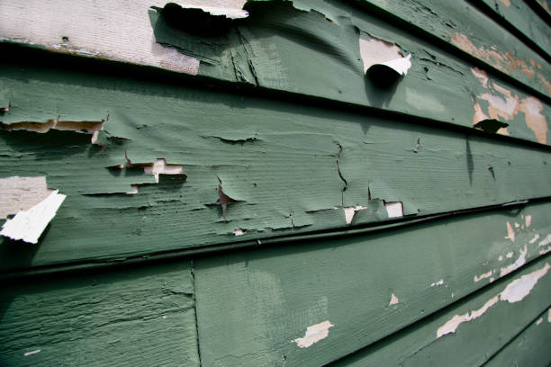  East Brady, PA Junk Removal Pros